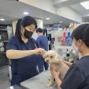 지인동물병원 이미지