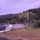 대원철뚝집 이미지