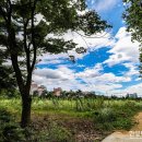 한양대학교에리카캠퍼스 이미지