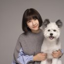 몽그라피 이미지