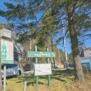 지수목장 | 대관령 양떼목장 - 겨울 방문 후기, 겨울왕국 실사판, 평창 필수코스, 강릉 필수코스