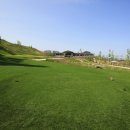 오투골프 이미지