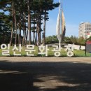 제 1421회 일산호수공원 365건강걷기 감니다 이미지