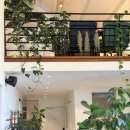 고정1리 노인회관 | [장흥]베이커리 감성카페 한브레ㅣ선물하기 좋은 장흥특산물 표고샌드