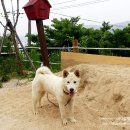 수양호원 이미지