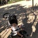 삼천리농장 이미지