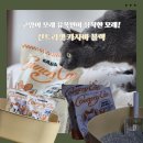 고양이집:고집 | 먼지 없는 고양이모래 찾는다면? 컨트리캣카사블랙 사용 후기, 브라질산 카사바모래