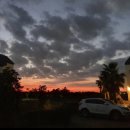 한림동물약국 이미지