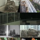 이소농장 이미지