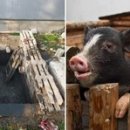 장서농장 이미지