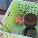 성산가든 이미지