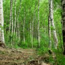 석기시대 이미지