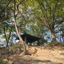 솔마루길 대공원산 | 남산, 삼호산, 대공원산, 신선산