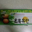 초록유 이미지