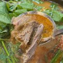 사시사철 흑염소.오리 이미지