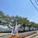 길목다방 | 충남금산카페 더위 날려줄 팥빙수 맛집 &#39;제원다방&#39;