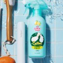 오렌지카매니아 이미지