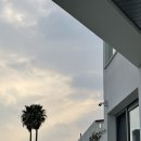 타이드엔드 이미지