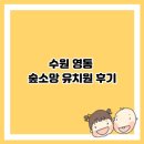 소망어린이집 | 후회 없는 선택! 수원 영통 숲소망 유치원 후기