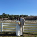 달아목장 | 제주 셀프웨딩스냅, 목장사진 장소추천 공유 주차정보