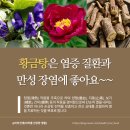 황금탕 이미지