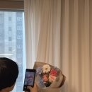 나무플라워앤플랜트 이미지