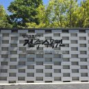 꽃잔디뜨락 | 전주 가볼만한곳: 전주수목원 장미 개화현황과 무료 힐링 산책 후기