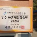 청룡병설유치원 이미지