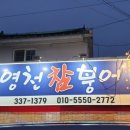 영천참붕어