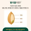 저속노화 식단 시작 한채원 파로 통곡물 즉석밥 솔직후기