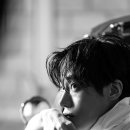 영우 Daum카페