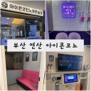부르고코인노래연습장 이미지