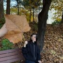 어번케에센터 관광안내소 이미지