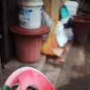 용산-246 이미지