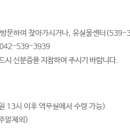 대정로(유성-46) 이미지