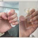 유성 네일샵 추천 물어뜯는 손톱도 예쁘게! 유성온천역 포쉬네일에서 열손 연장 후기💅🏻