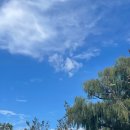 뚝섬한강공원-47 이미지