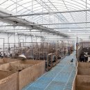 초방리농장 이미지