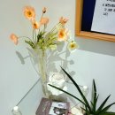 스터디무드(study mood) 이미지