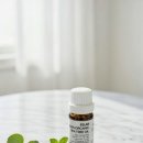 오일스팟 | 62랩 티트리오일100 트러블스팟에 제대로 써본 후기