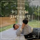 아침이슬 | [화순 아이랑 여행] 힐링 화순 숙소 자연의미학 401호 후기