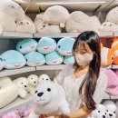 나라약국 | 대구 시내 미용실 끌레나헤어 추천 @해성쌤 N번째 염색 후기!