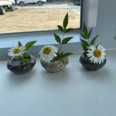 고은밥상 이미지