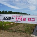 구리한강시민공원 이미지