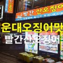 빨간산오징어 이미지