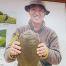 봉강별곡 이미지