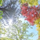 코너라운드맨션 이미지