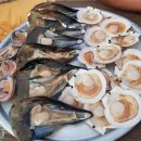 성주로50 캠프앤펜션 이미지