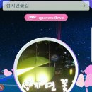 성지연꽃길 Daum카페