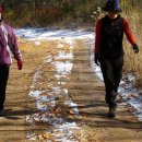 인제12-2 이미지